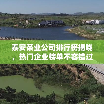 泰安茶業(yè)公司排行榜揭曉，熱門企業(yè)榜單不容錯(cuò)過！