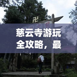 慈云寺游玩全攻略，最新路線一網(wǎng)打盡！