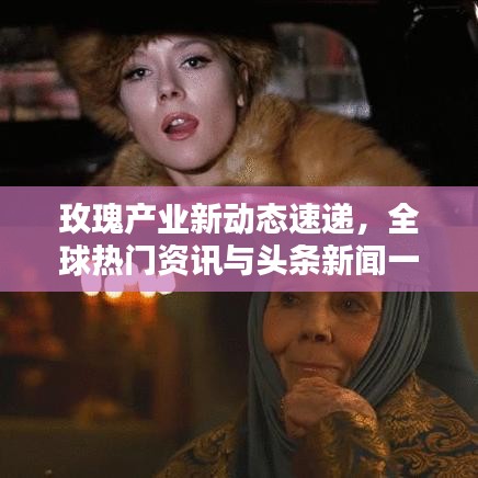 玫瑰產(chǎn)業(yè)新動態(tài)速遞，全球熱門資訊與頭條新聞一網(wǎng)打盡