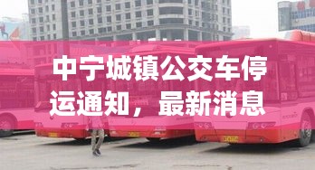 中寧城鎮(zhèn)公交車停運通知，最新消息及影響分析
