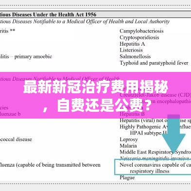 最新新冠治療費用揭秘，自費還是公費？