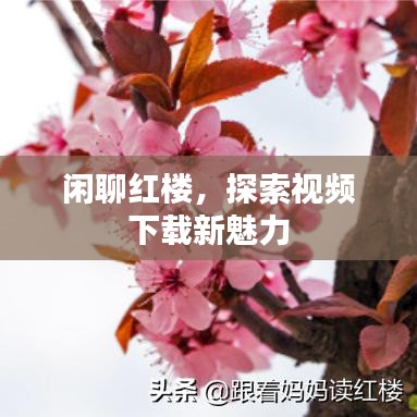 閑聊紅樓，探索視頻下載新魅力
