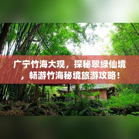 廣寧竹海大觀，探秘翠綠仙境，暢游竹海秘境旅游攻略！