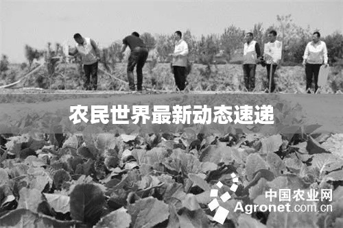 農(nóng)民世界最新動(dòng)態(tài)速遞