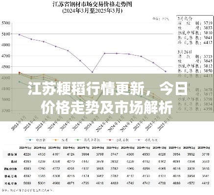 江蘇粳稻行情更新，今日價格走勢及市場解析