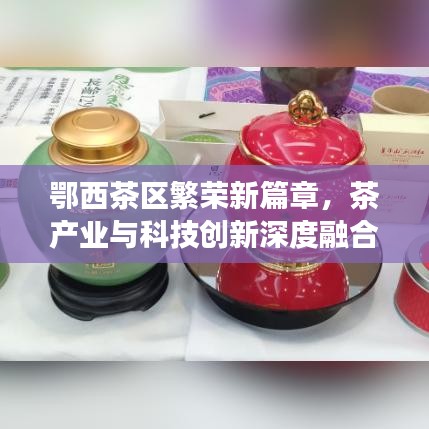 鄂西茶區(qū)繁榮新篇章，茶產(chǎn)業(yè)與科技創(chuàng)新深度融合引領(lǐng)發(fā)展之路
