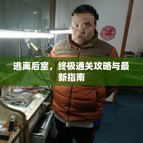 逃離后室，終極通關攻略與最新指南