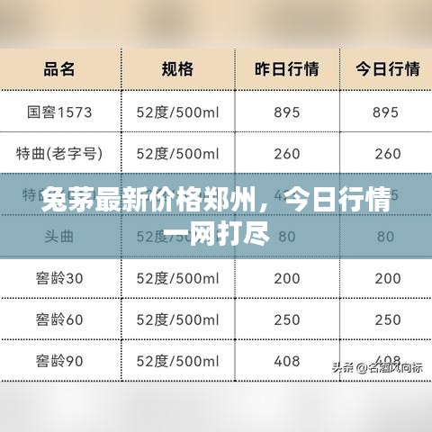 兔茅最新價格鄭州，今日行情一網(wǎng)打盡