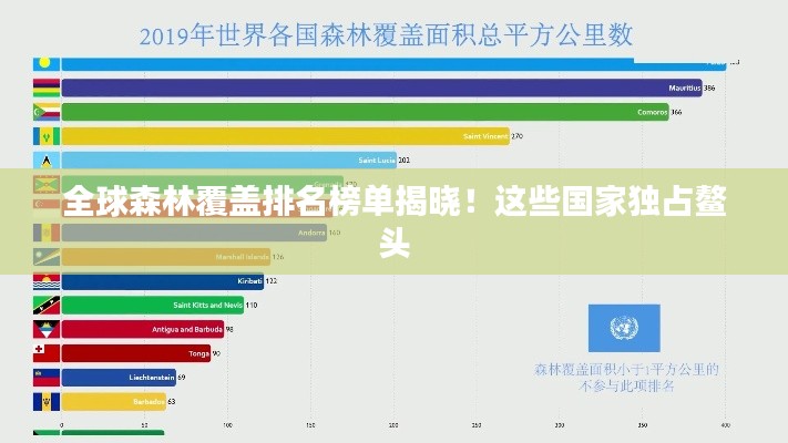 全球森林覆蓋排名榜單揭曉！這些國(guó)家獨(dú)占鰲頭