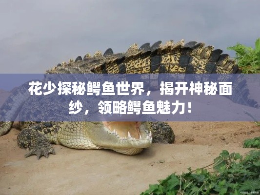 儀態(tài)萬方 第2頁