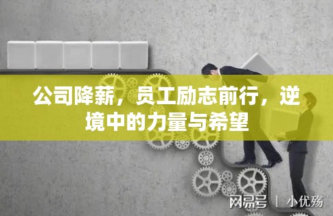 公司降薪，員工勵志前行，逆境中的力量與希望