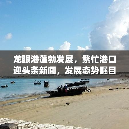 龍眼港蓬勃發(fā)展，繁忙港口迎頭條新聞，發(fā)展態(tài)勢矚目