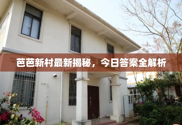 芭芭新村最新揭秘，今日答案全解析
