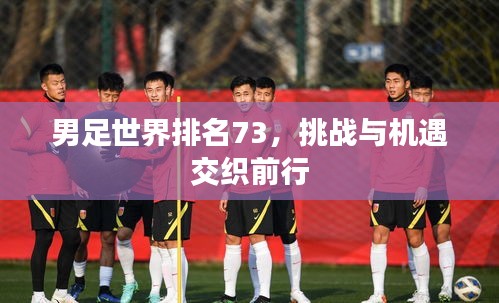 男足世界排名73，挑戰(zhàn)與機(jī)遇交織前行