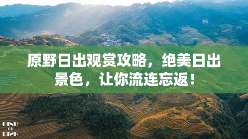 原野日出觀賞攻略，絕美日出景色，讓你流連忘返！