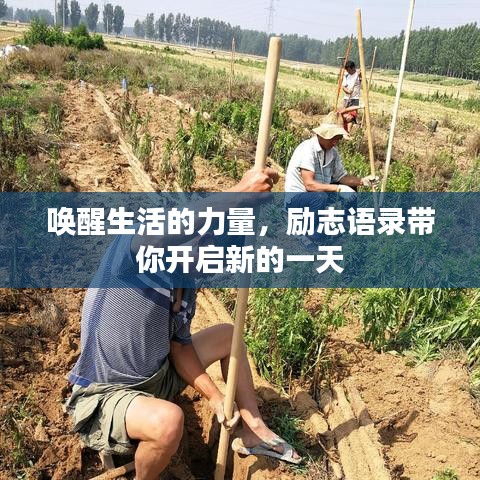 喚醒生活的力量，勵(lì)志語錄帶你開啟新的一天