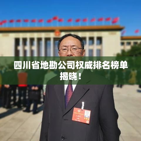 四川省地勘公司權(quán)威排名榜單揭曉！