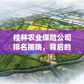 桂林農(nóng)業(yè)保險公司排名揭曉，背后的故事引人關注