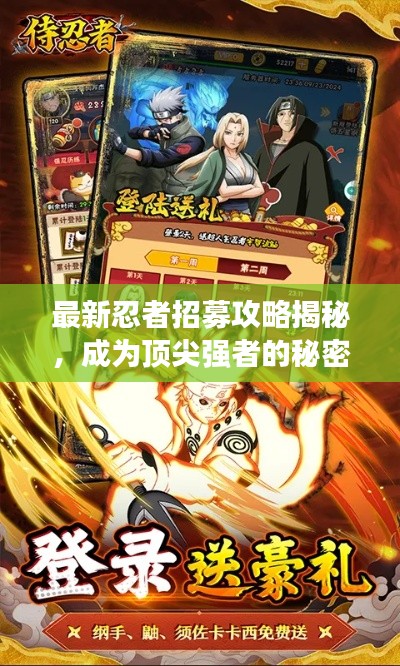 最新忍者招募攻略揭秘，成為頂尖強(qiáng)者的秘密之路！