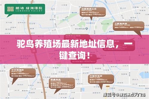 駝鳥養(yǎng)殖場最新地址信息，一鍵查詢！