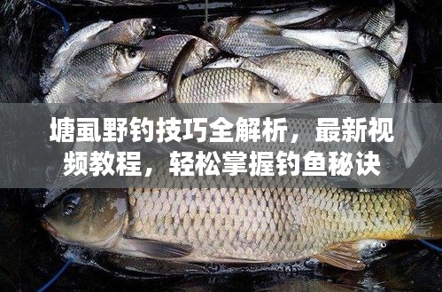 塘虱野釣技巧全解析，最新視頻教程，輕松掌握釣魚秘訣