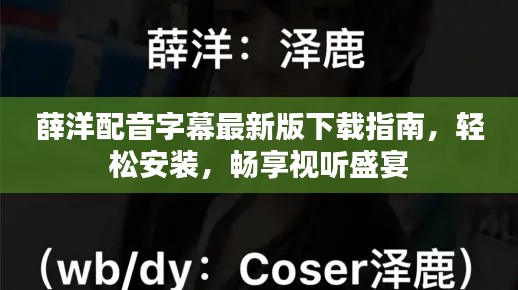 薛洋配音字幕最新版下載指南，輕松安裝，暢享視聽盛宴