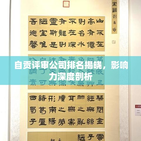 自貢評審公司排名揭曉，影響力深度剖析