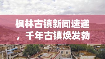 楓林古鎮(zhèn)新聞速遞，千年古鎮(zhèn)煥發(fā)勃勃生機