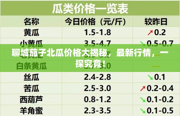 聊城茄子北瓜價(jià)格大揭秘，最新行情，一探究竟！