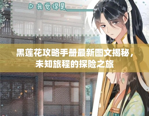黑蓮花攻略手冊最新圖文揭秘，未知旅程的探險之旅