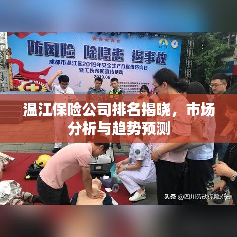 溫江保險(xiǎn)公司排名揭曉，市場(chǎng)分析與趨勢(shì)預(yù)測(cè)