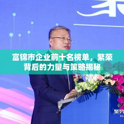 富錦市企業(yè)前十名榜單，繁榮背后的力量與策略揭秘