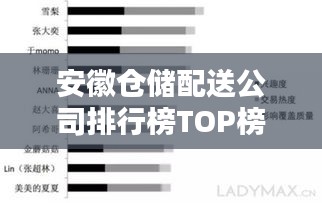 安徽倉(cāng)儲(chǔ)配送公司排行榜TOP榜及行業(yè)影響力分析