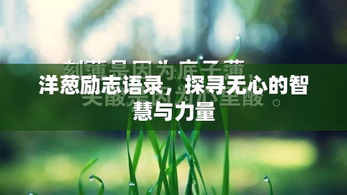 洋蔥勵志語錄，探尋無心的智慧與力量