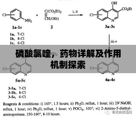 磷酸氯喹，藥物詳解及作用機(jī)制探索