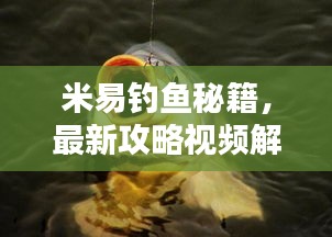 米易釣魚秘籍，最新攻略視頻解析，讓你輕松釣上大魚！