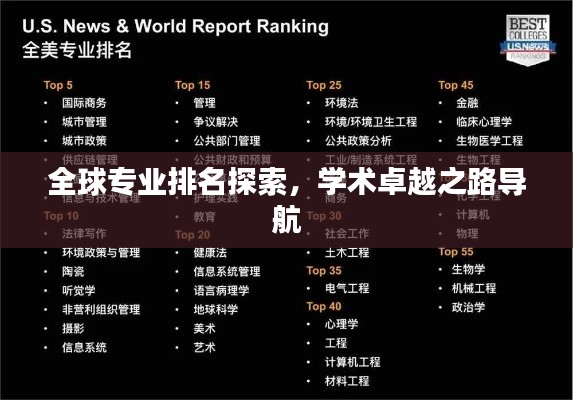 全球?qū)I(yè)排名探索，學(xué)術(shù)卓越之路導(dǎo)航
