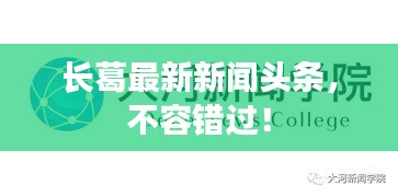 長(zhǎng)葛最新新聞?lì)^條，不容錯(cuò)過！