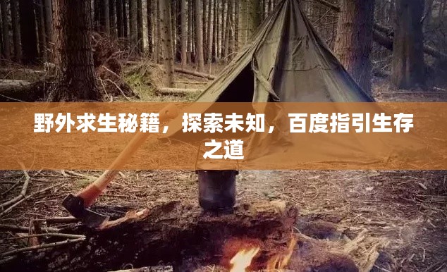 野外求生秘籍，探索未知，百度指引生存之道