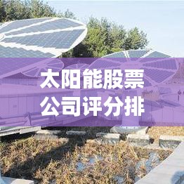 太陽能股票公司評分排名揭秘，綠色能源領(lǐng)域的領(lǐng)頭羊