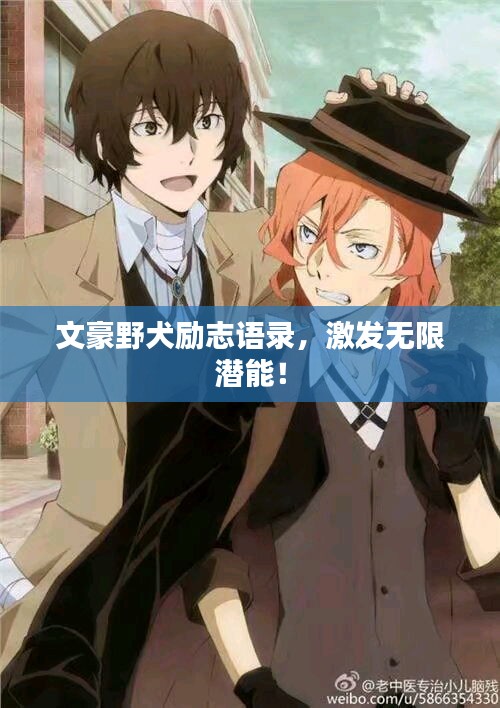 文豪野犬勵志語錄，激發(fā)無限潛能！