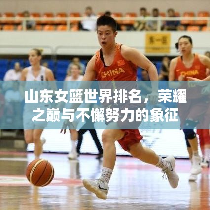 山東女籃世界排名，榮耀之巔與不懈努力的象征