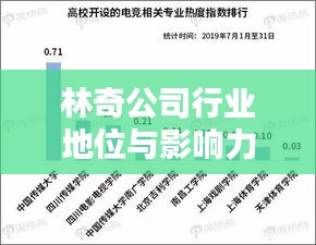 林奇公司行業(yè)地位與影響力解析，揭秘其在行業(yè)中的排名及深遠(yuǎn)影響