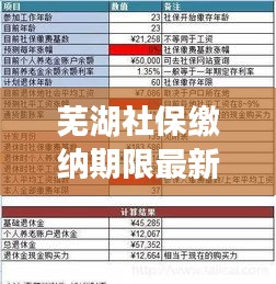 蕪湖社保繳納期限最新規(guī)定解讀，你需要知道的最新繳納期限！