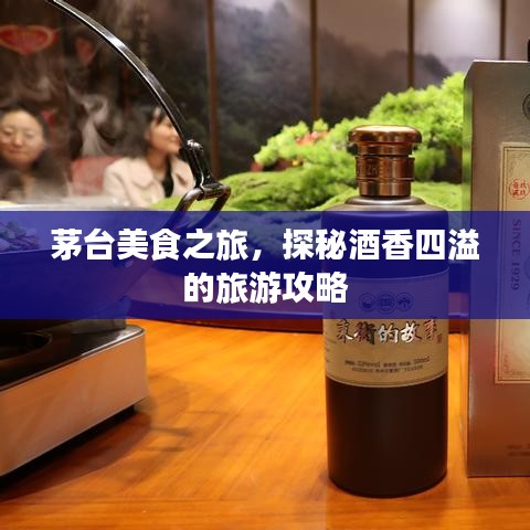 茅臺(tái)美食之旅，探秘酒香四溢的旅游攻略