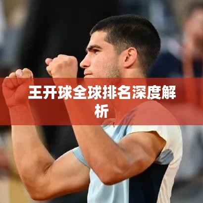 王開(kāi)球全球排名深度解析