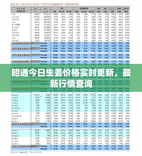 昭通今日生姜價(jià)格實(shí)時(shí)更新，最新行情查詢