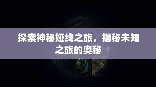 探索神秘婭線(xiàn)之旅，揭秘未知之旅的奧秘