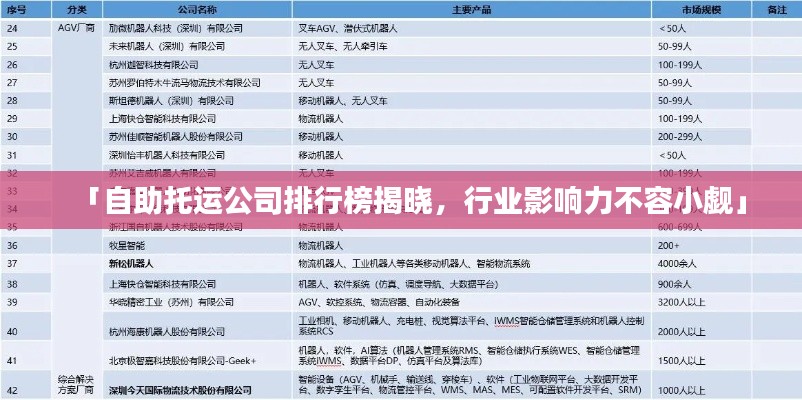 「自助托運公司排行榜揭曉，行業(yè)影響力不容小覷」