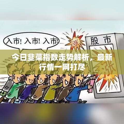 今日韭菜指數走勢解析，最新行情一網打盡